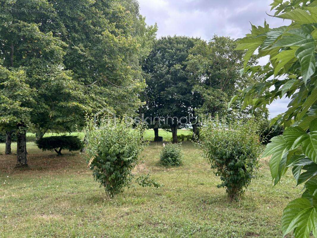 Maison à VILLECOMTAL-SUR-ARROS