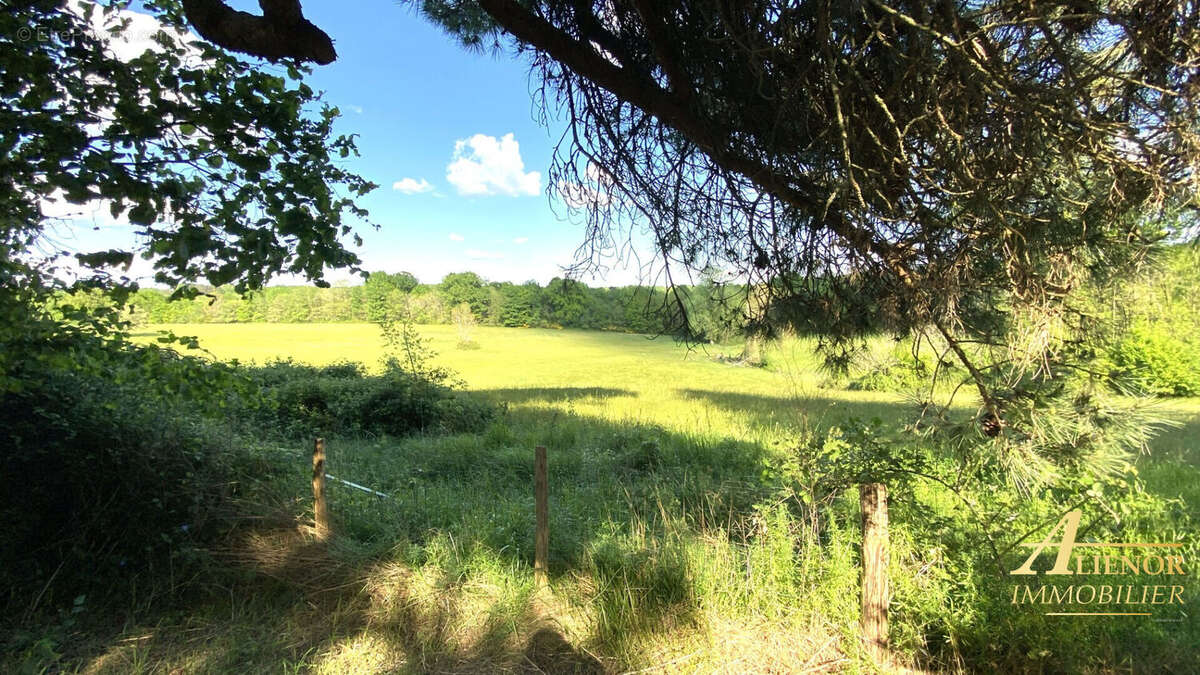 Demeure seigneuriale à la campagne, entre Angoulême et Brantôme - photo 13