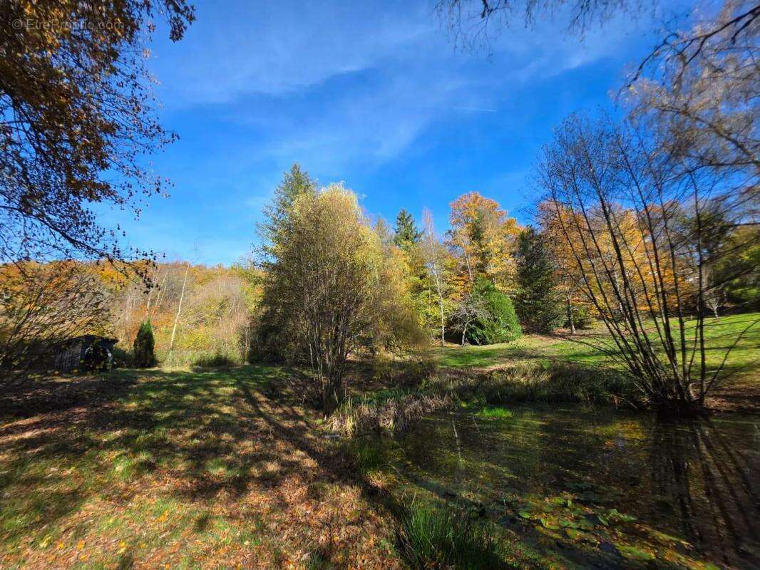 Maison à BITSCHWILLER-LES-THANN