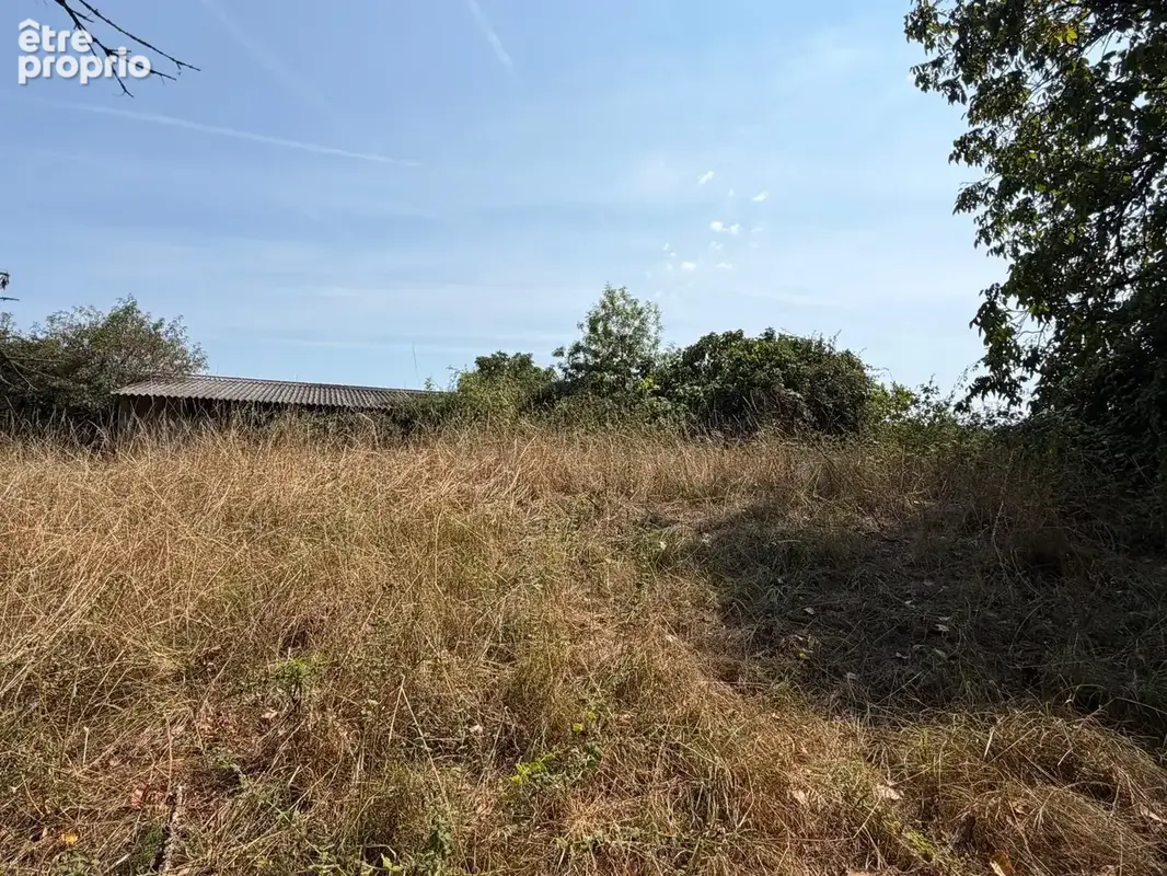 Bâtiment Agricole  900m2 - photo 5