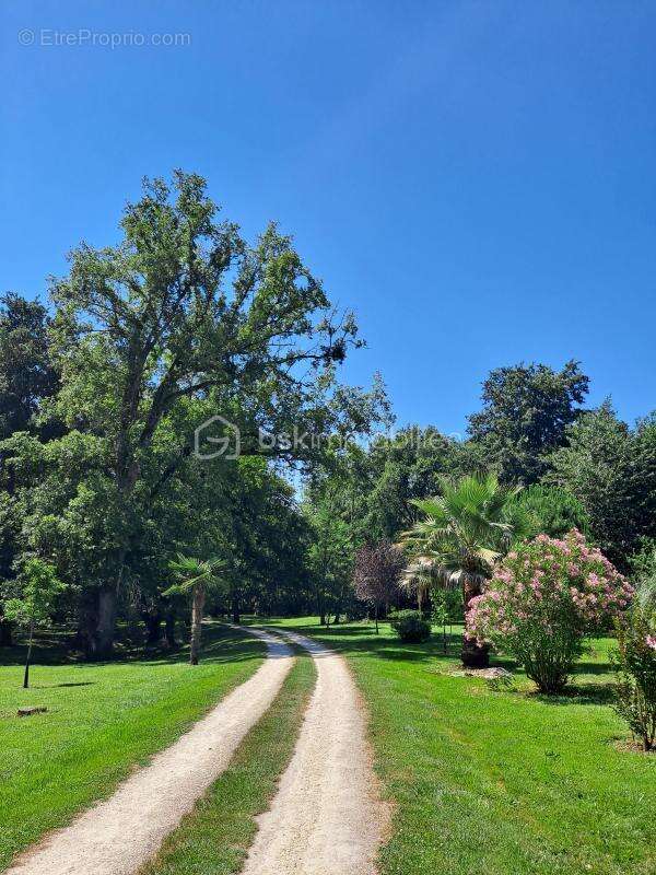 Vivre et rêver en Gascogne : élégante propriété avec gîtes et chambres d’hôtes - photo 22