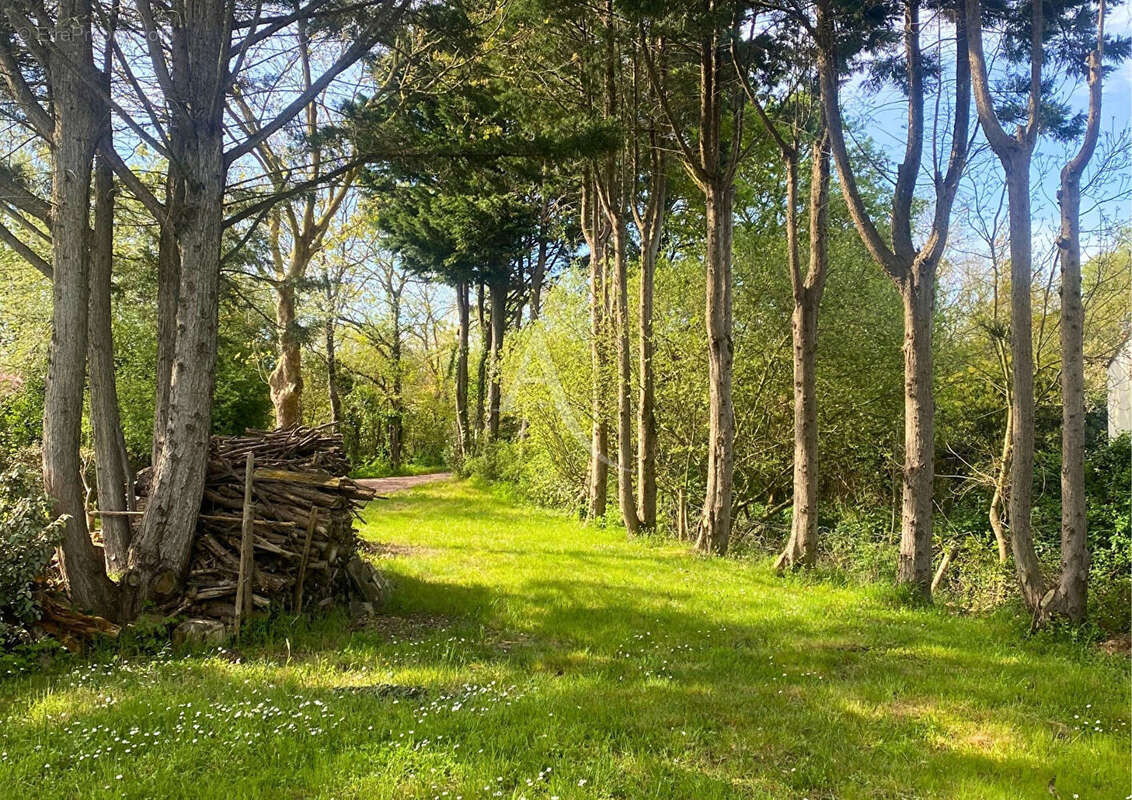 Terrain à SAINT-URBAIN