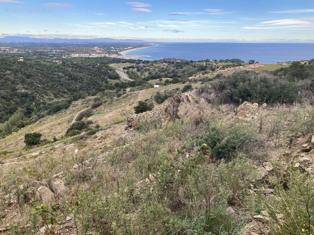 Terrain à COLLIOURE