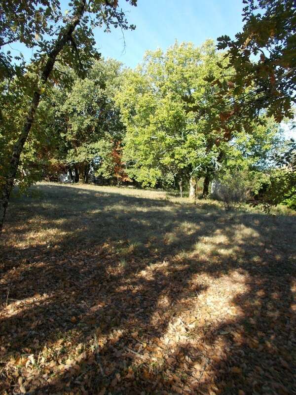 Terrain à LACHAPELLE-AUZAC