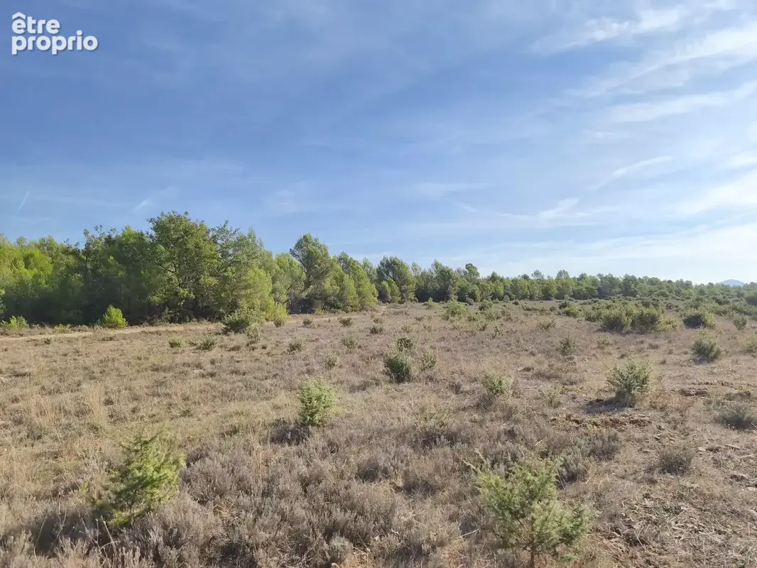 Terres non constructible de 36 hectares à St-Martin (83) - photo 2