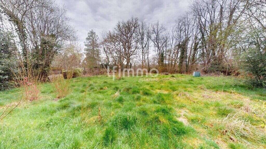 Propriété atypique – 2 bergeries landaises avec piscine - photo 5