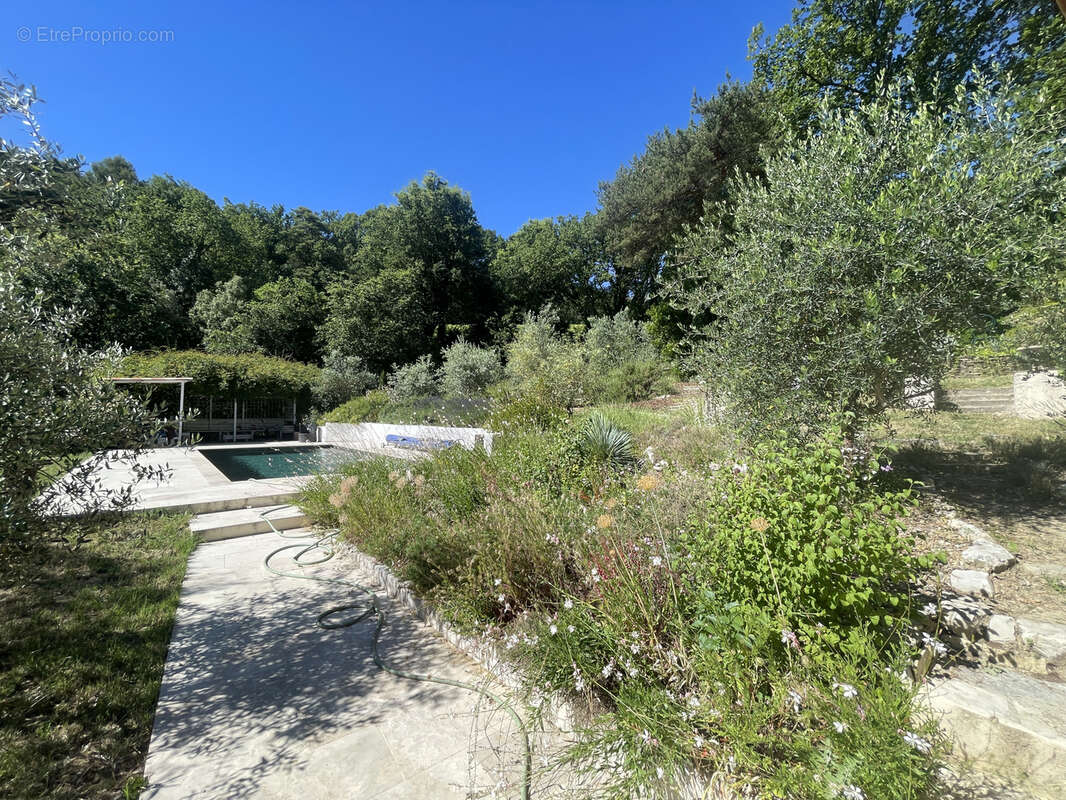 Vaison / maison de caractere / terrain 3000m2 / piscine / vue ventoux - photo 11
