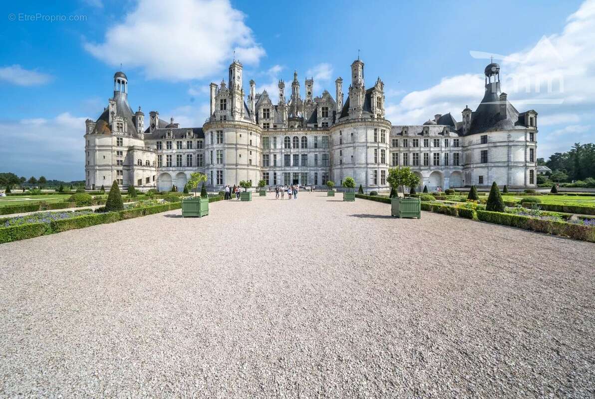 Terrain à MONTLIVAULT