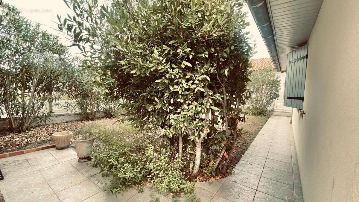 Photo 8 - Maison à LUDON-MEDOC