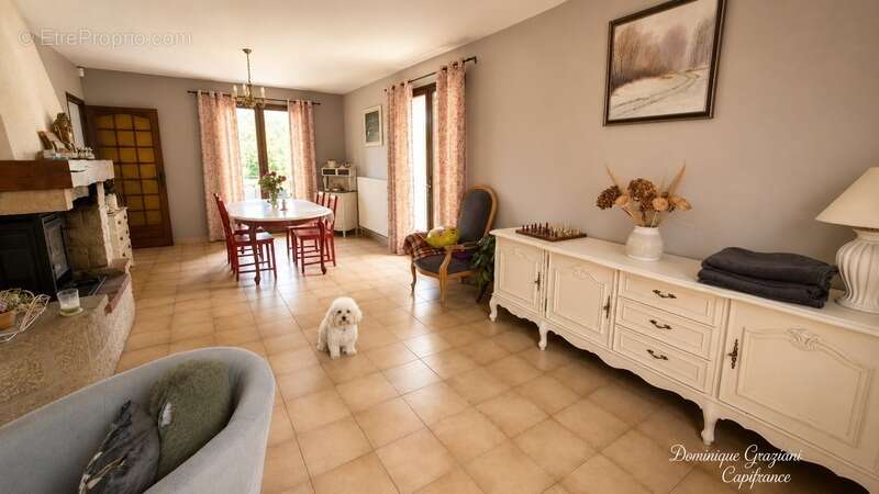 Maison plain pied, 4 chambres, garage ,vue degagee aurec sur loire - photo 3