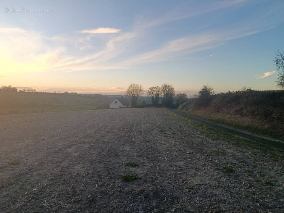 Terrain à BOUELLES