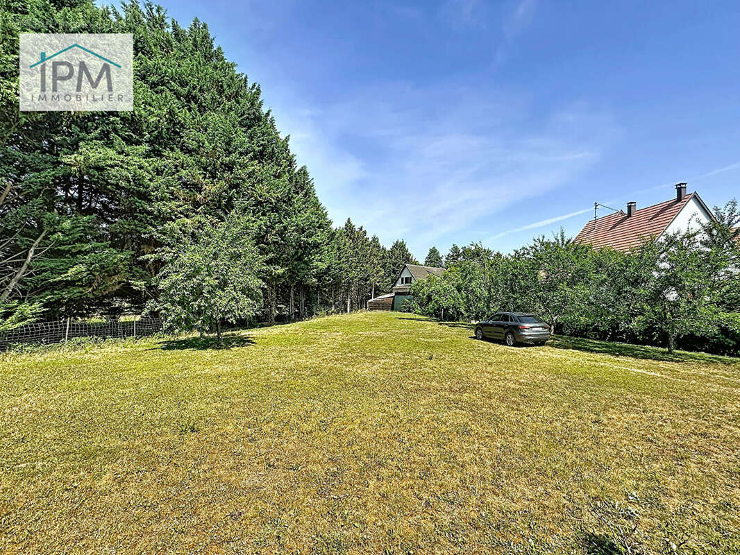 Beau terrain 10 ares  à GRESSWILLER - acheter - Ipm Immobilier - photo 2