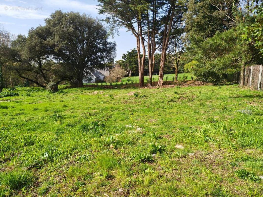 Photo 1 - Terrain à GUERANDE