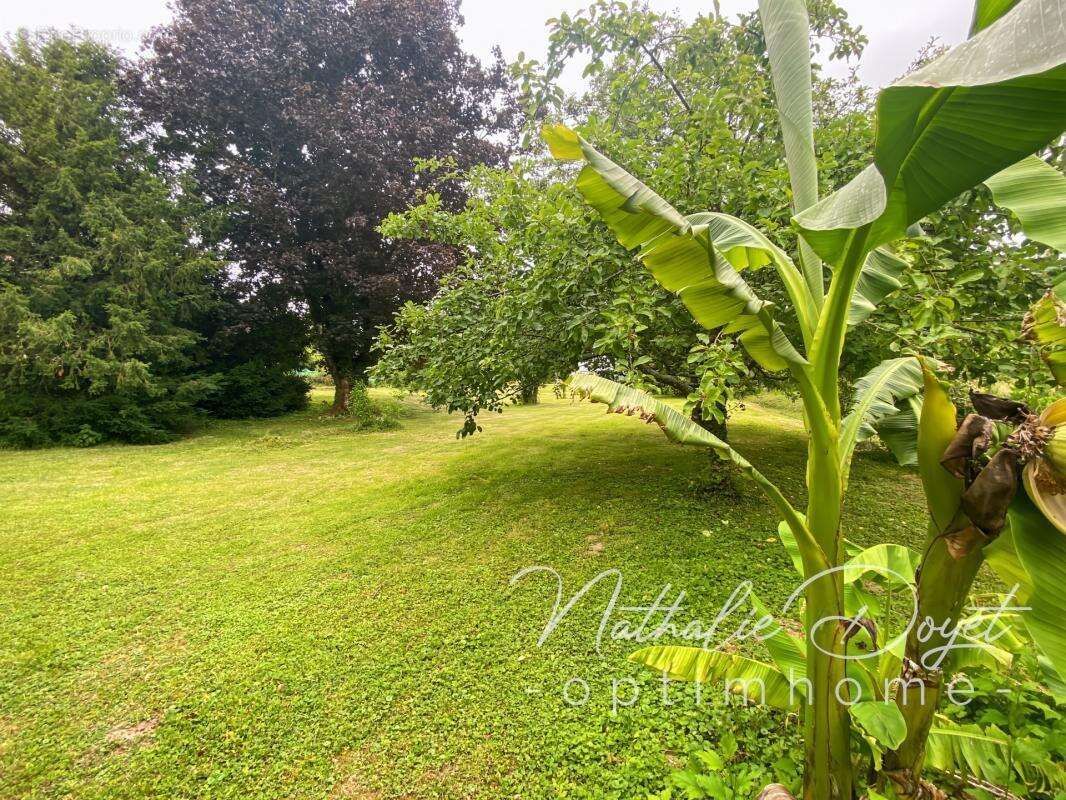 Maison à vendre 6 pièces VIGNEUX HOCQUET (02) - photo 39