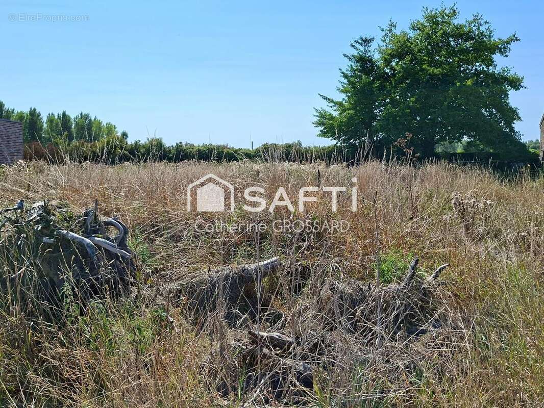 Photo 3 - Terrain à FESTUBERT