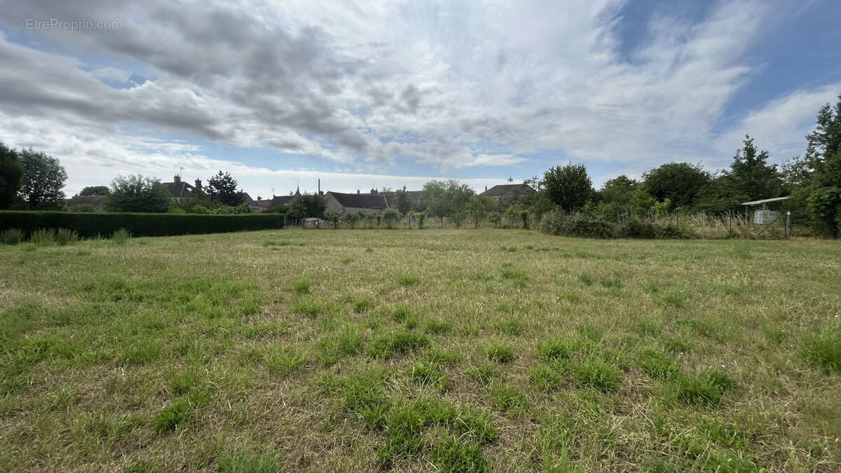 Terrain à SOGNOLLES-EN-MONTOIS