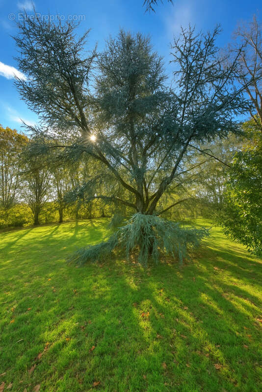 Maison à ARTANNES-SUR-INDRE
