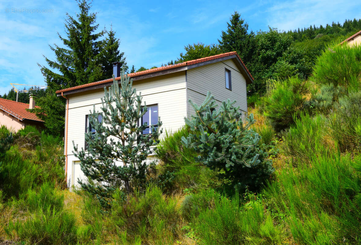 Maison à SAINT-CIRGUES-EN-MONTAGNE