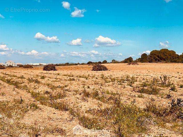 Terrain à PERPIGNAN