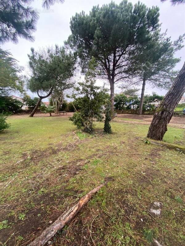 Terrain à OLONNE-SUR-MER