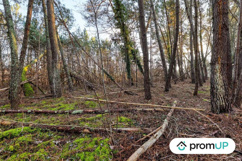 Terrain à CHATILLON-SUR-CHER