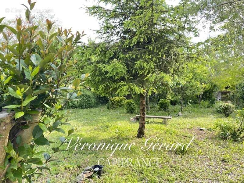 Maison à SAINT-VIVIEN