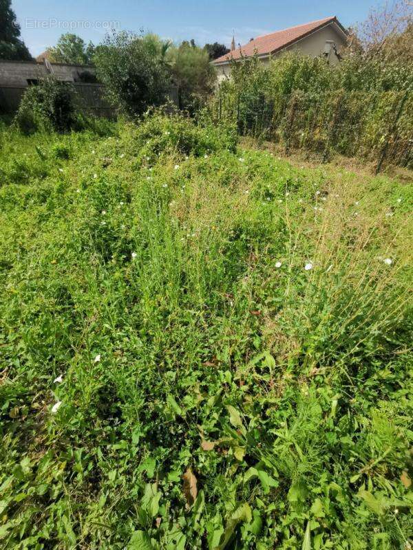 Terrain à SAINT-GEORGES-D&#039;ESPERANCHE