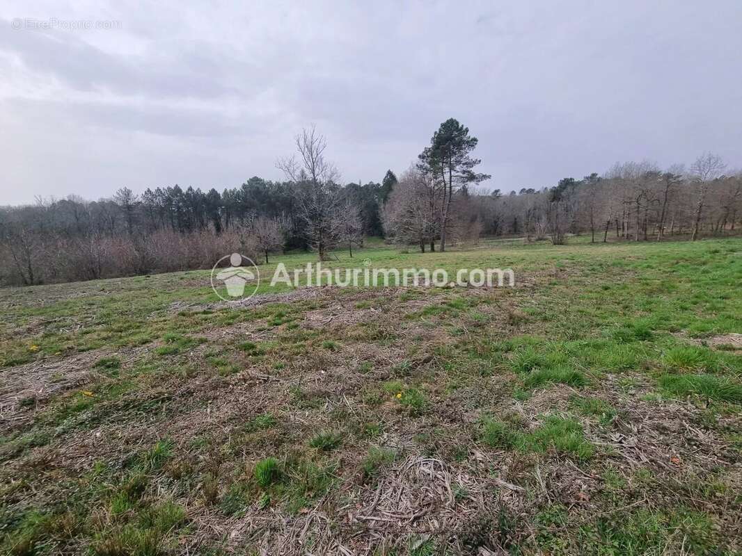 Terrain à batir de 7900 m² - photo 5