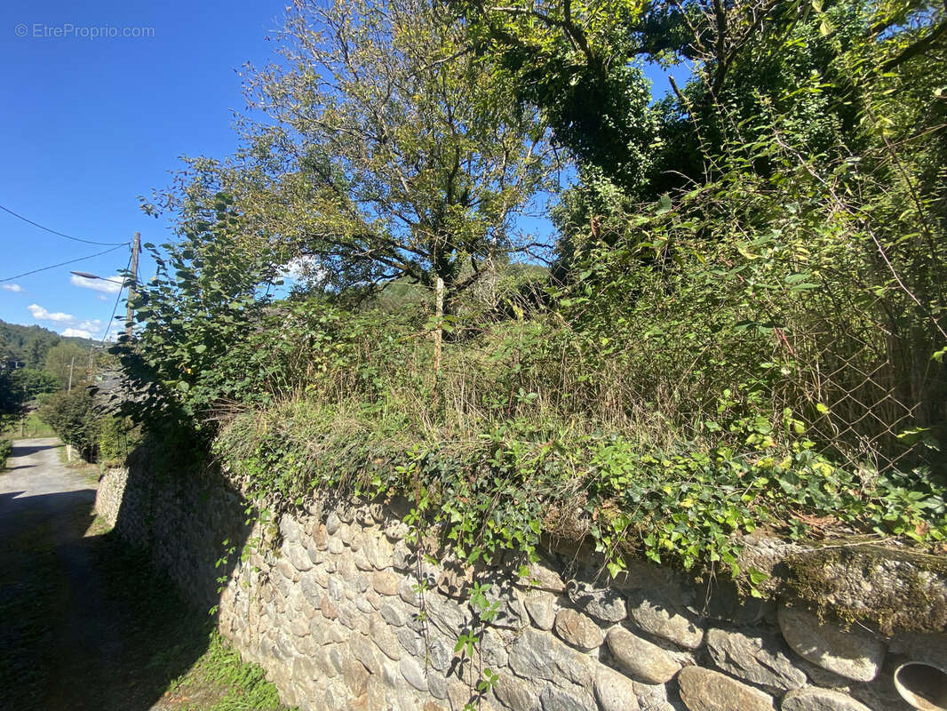 Maison à SAINT-CHAMANT