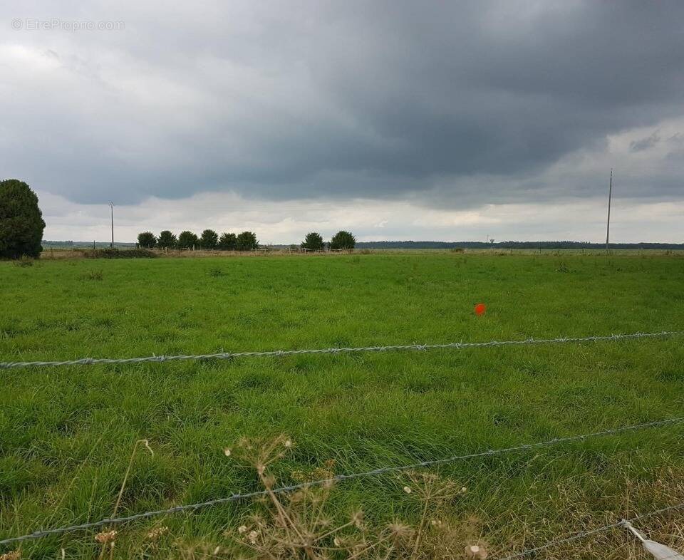 Terrain à SAINT-PIERRE-DES-FLEURS