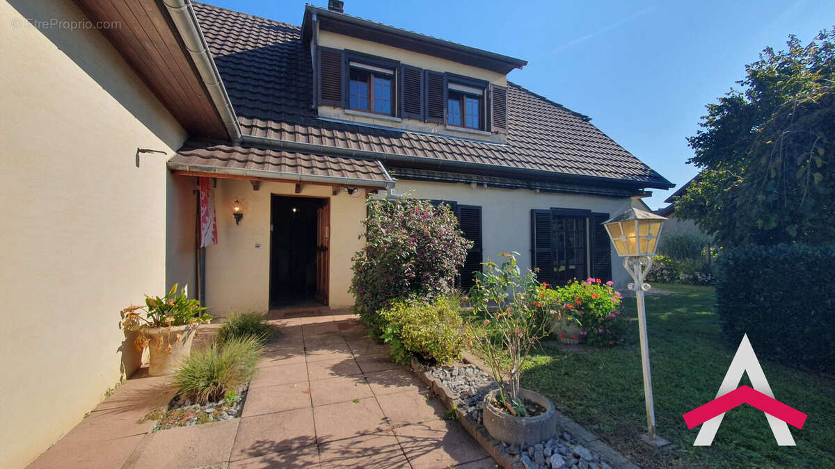 Maison à DANNEMARIE