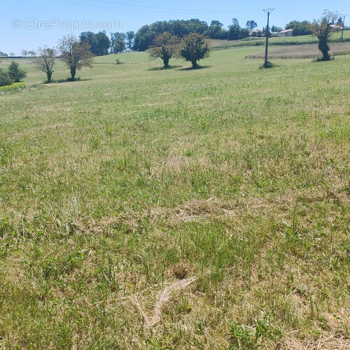 Terrain à SAINT-PROJET