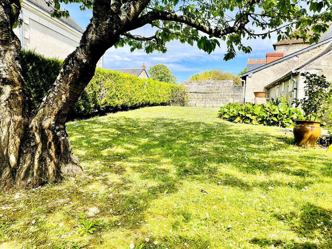 Longère en pierre 180 m² avec dépendances / Charme de l'ancien à Cussay - photo 15