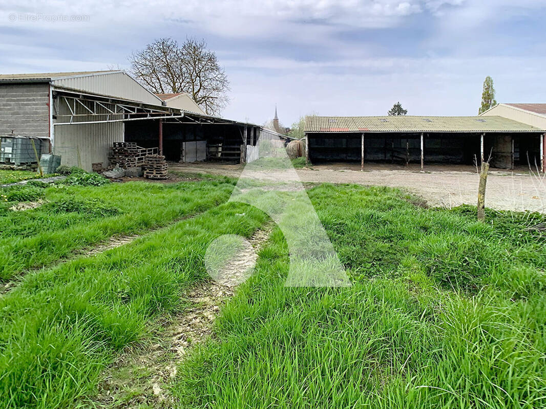 Commerce à NOYELLES-SOUS-BELLONNE