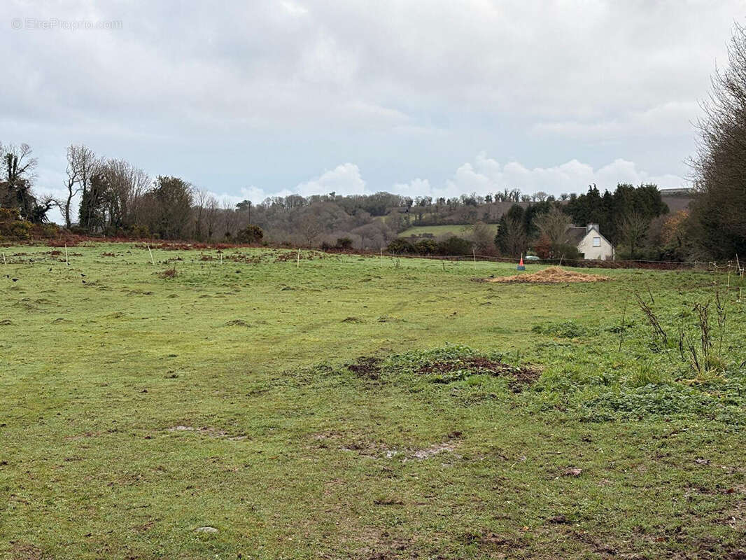 Terrain à GUERLESQUIN