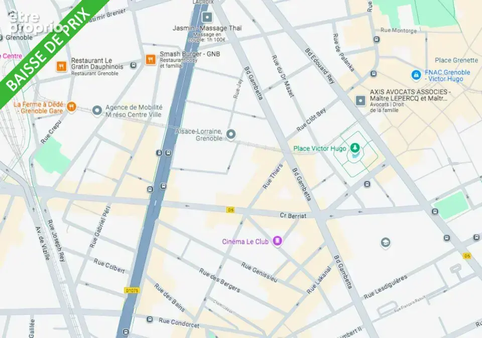 Bien immobilier à vendre à Grenoble (38000) - photo 2