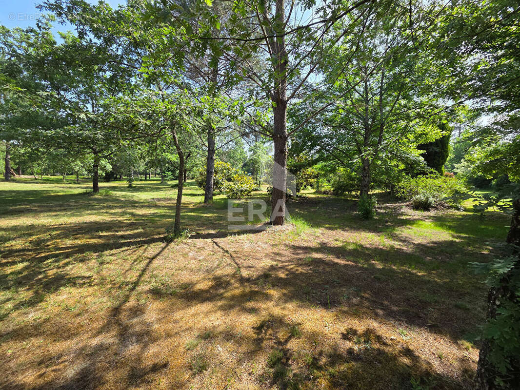 Maison 152m² à labrit - photo 18