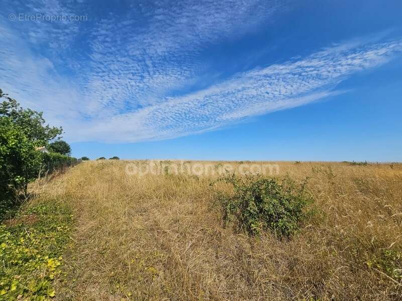 Terrain à AUNAC