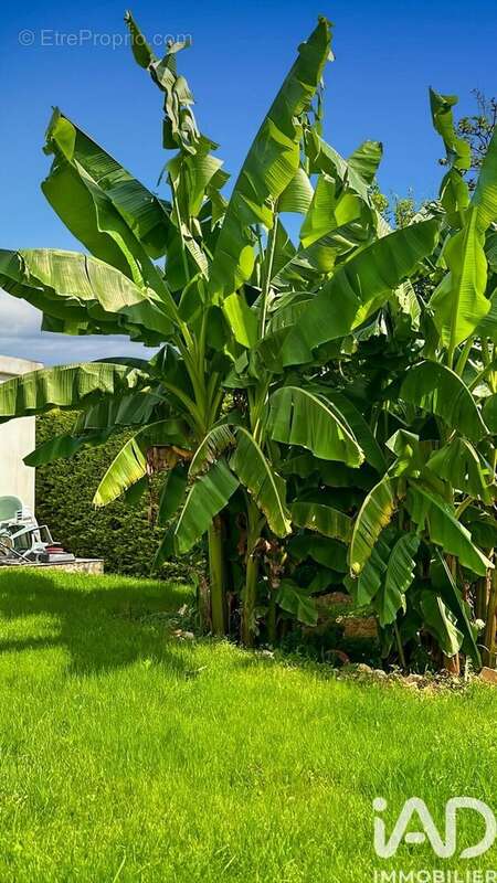 Photo 9 - Maison à SANTENY