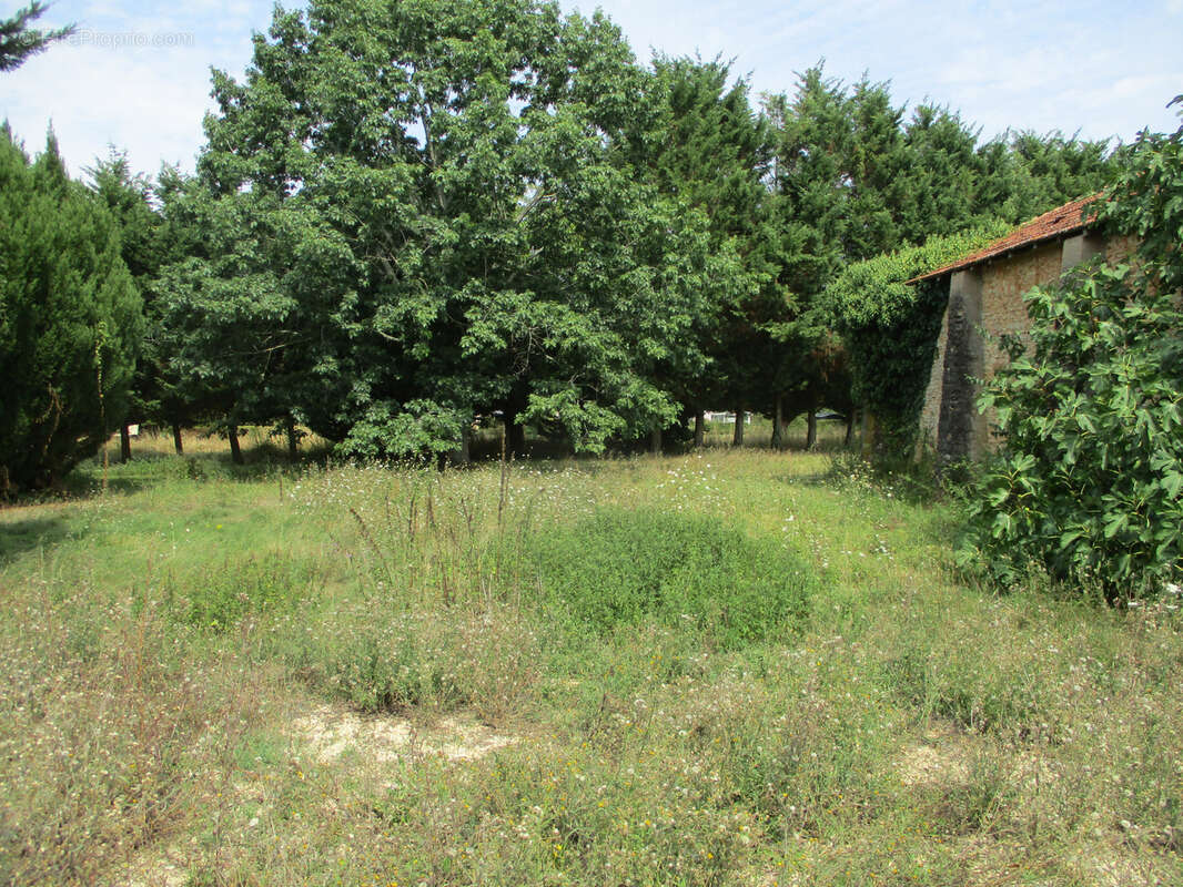 Parking à CEAUX-EN-COUHE