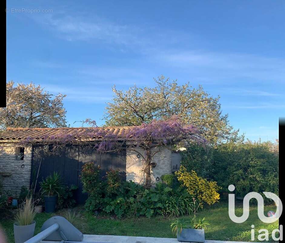 Photo 5 - Maison à DOLUS-D&#039;OLERON