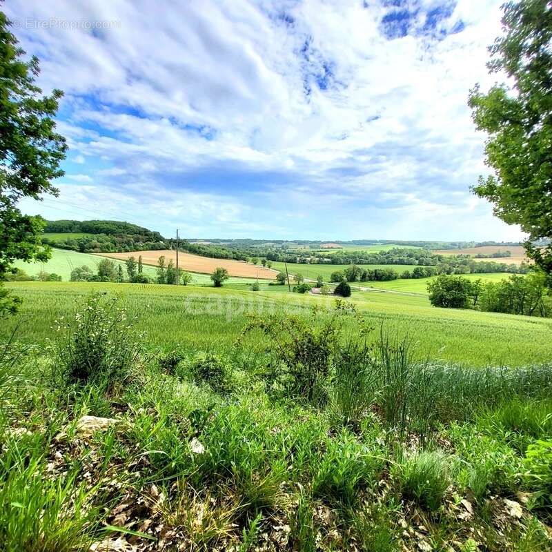 Maison à SAINT-CLAR