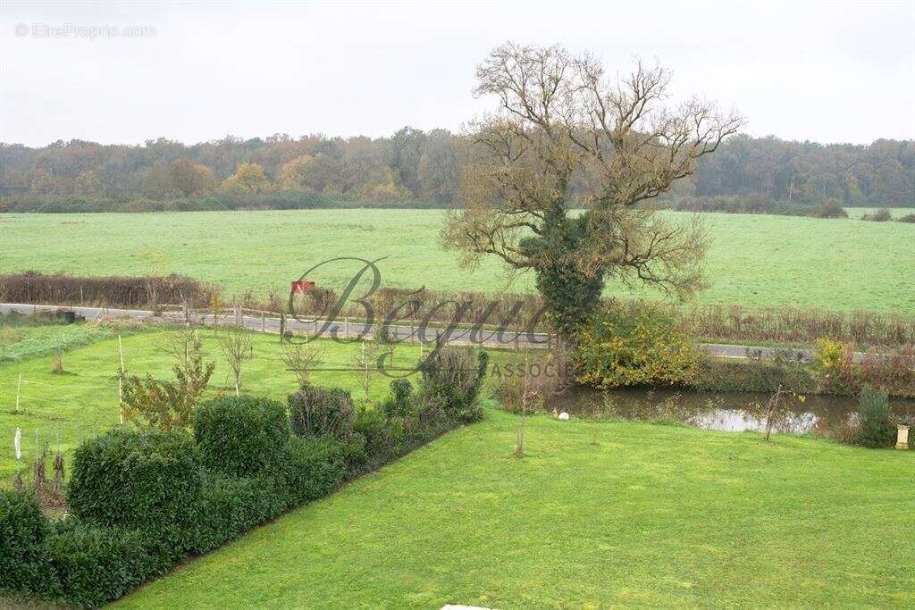 Côteaux-sur-Loire - Touraine - 37130 - 350 M² - 10 pièces - 7 chambres - piscine - parc 6 hectares - photo 15