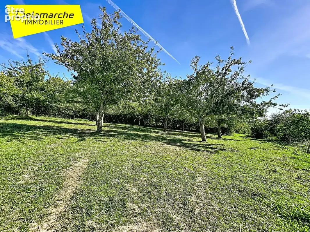 A VENDRE : Charmante maison en pierres avec dépendances et terrain - photo 4
