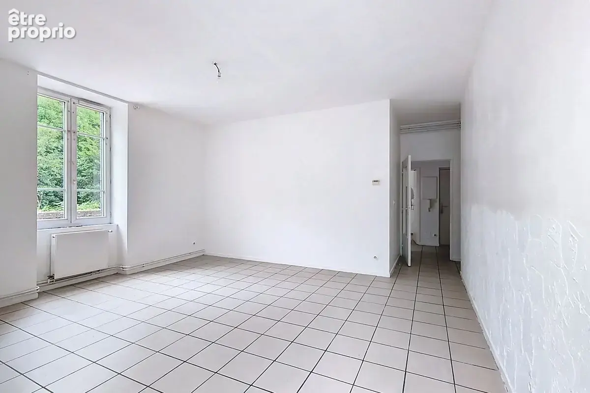 Appartement T2 Sain-Bel - photo 3