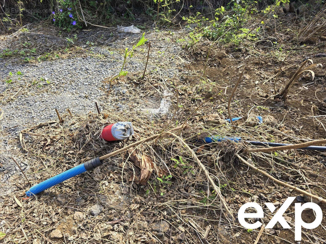 Terrain à LE TAMPON