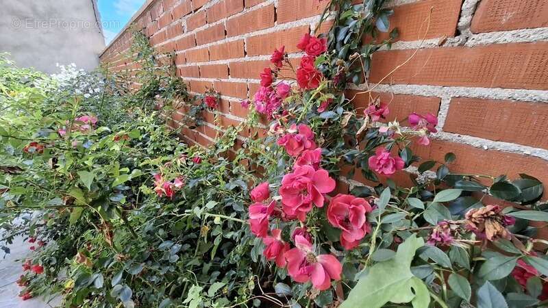 Maison à SAINT-QUENTIN