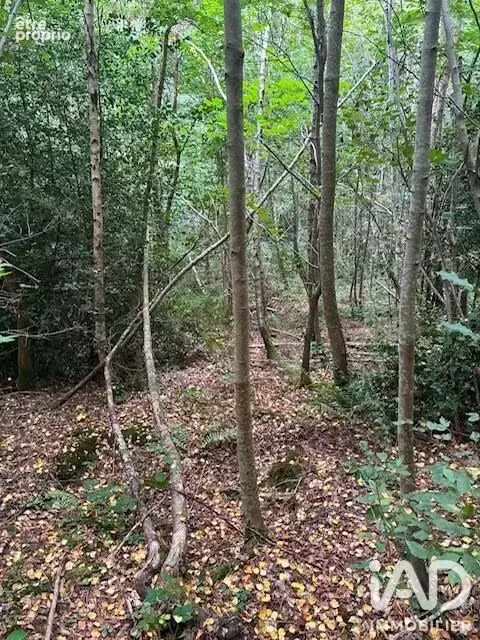 Photo 1 - Terrain à LA CROIX-AUX-BOIS