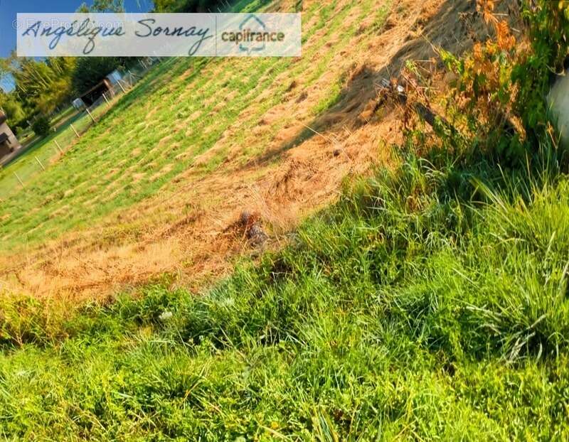 Terrain à BLETTERANS