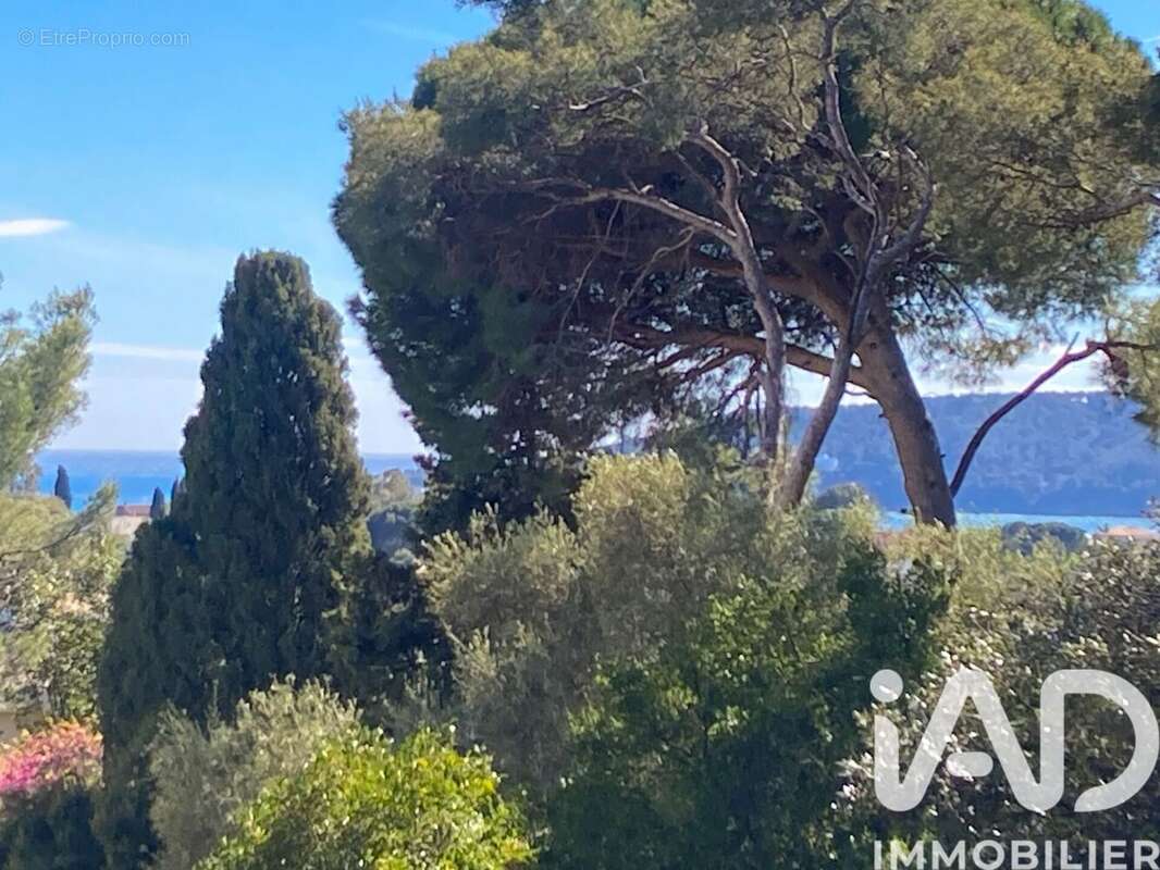 Photo 1 - Appartement à TOULON